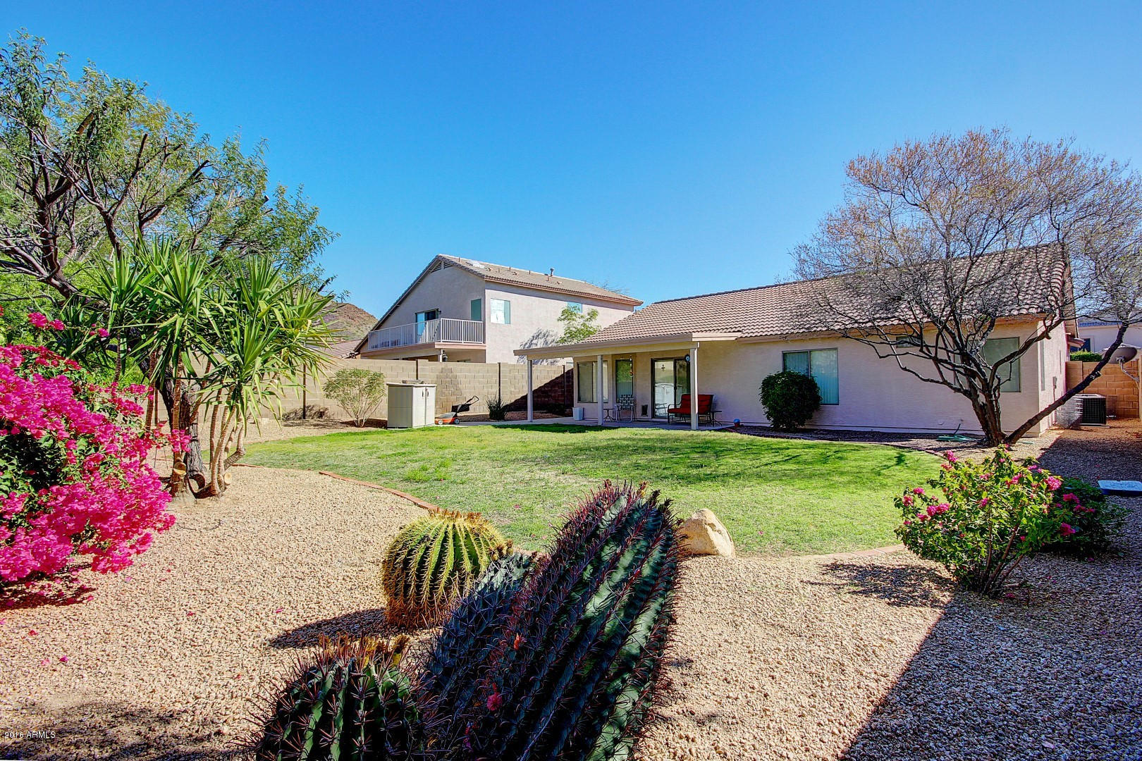 6542 West Briles Road Phoenix, AZ 85083 - Photo 22 of 25 Back Yard
