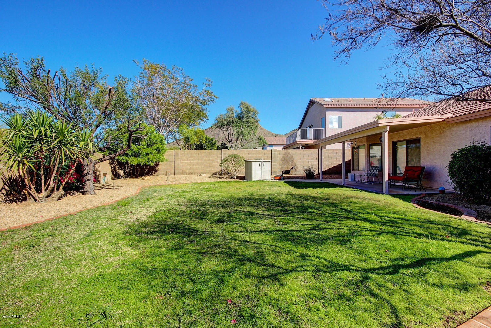 6542 West Briles Road Phoenix, AZ 85083 - Photo 23 of 25 Back Yard