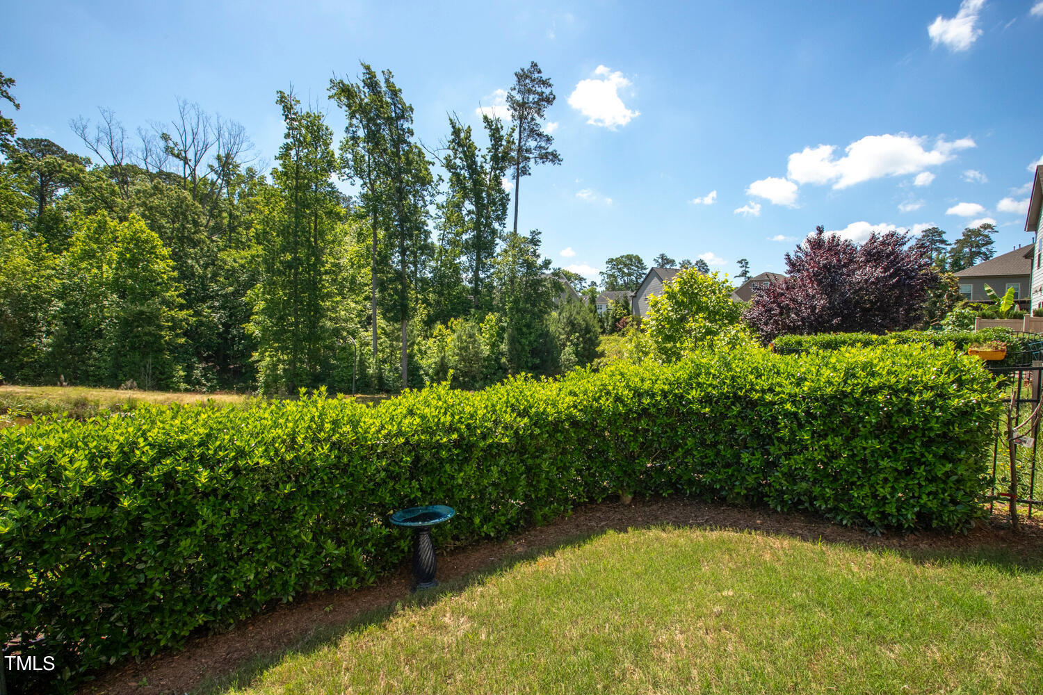 2425 Baslow Drive Apex, NC 27539 - Photo 43 of 48 a view of a garden