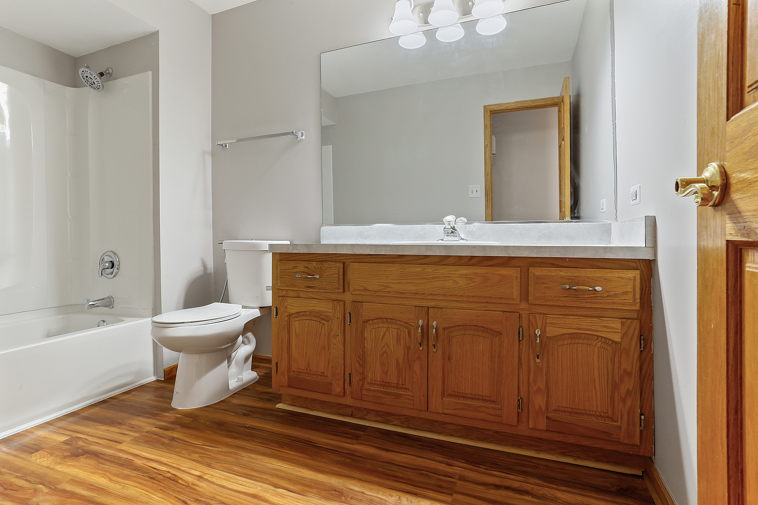 10646 Halligan Way Mokena, IL 60448 - Photo 25 of 28 a bathroom with a sink a toilet and a bathtub