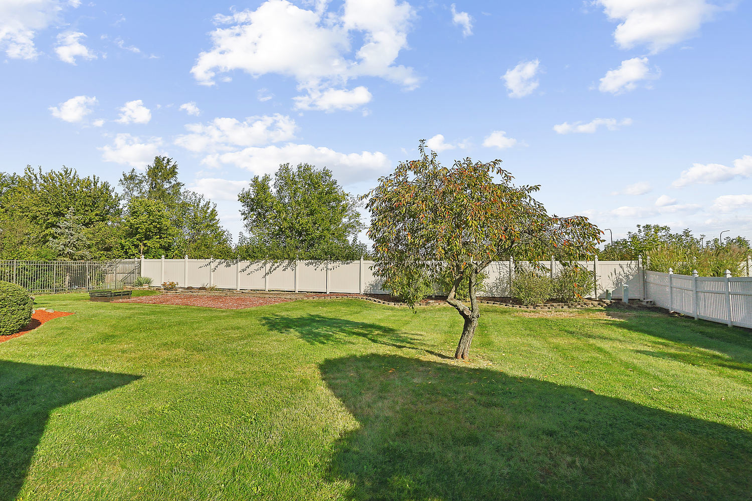 10646 Halligan Way Mokena, IL 60448 - Photo 9 of 28 a view of yard with entertaining space