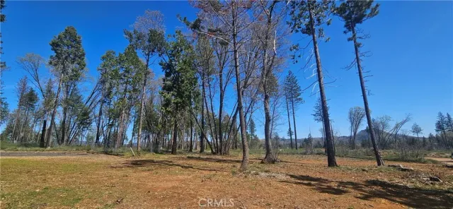 a view of outdoor space with trees