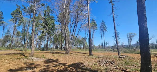 a backyard of a house with a tree