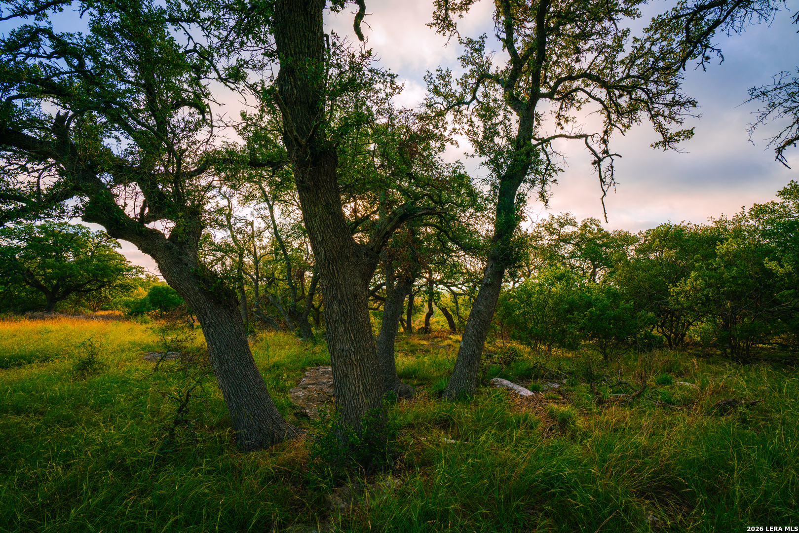 0 Rambling Oaks Ranch Spring Branch, TX 78070 - Photo 3 of 6