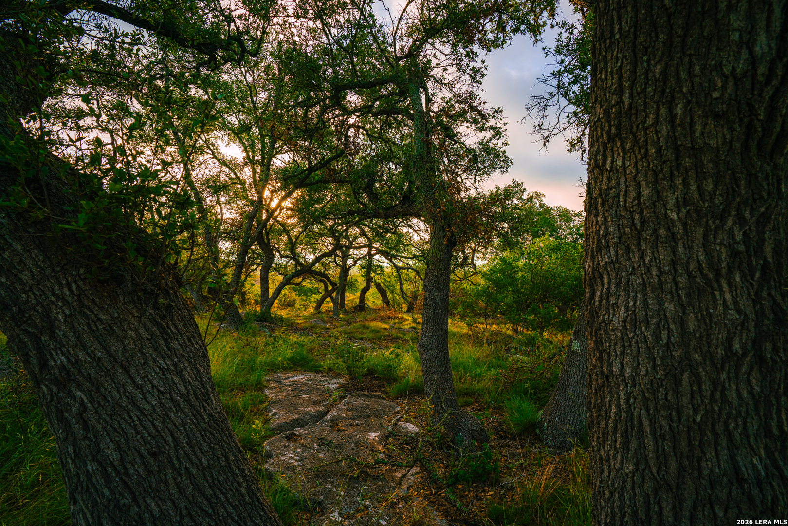 0 Rambling Oaks Ranch Spring Branch, TX 78070 - Photo 4 of 6