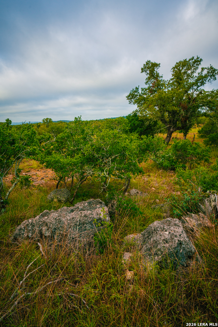 0 Rambling Oaks Ranch Spring Branch, TX 78070 - Photo 5 of 6