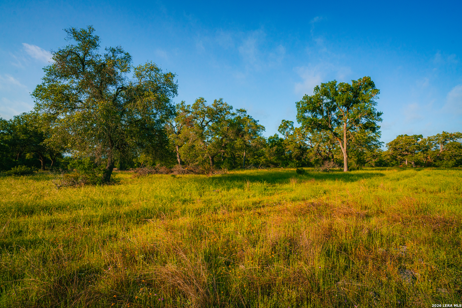 0 Rambling Oaks Ranch Spring Branch, TX 78070 - Photo 6 of 6