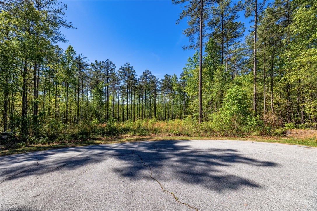 Lot E-29 Pine Ridge Way Salem, SC 29676 - Photo 5 of 11 Mature trees line this expansive lot, offering a private setting.