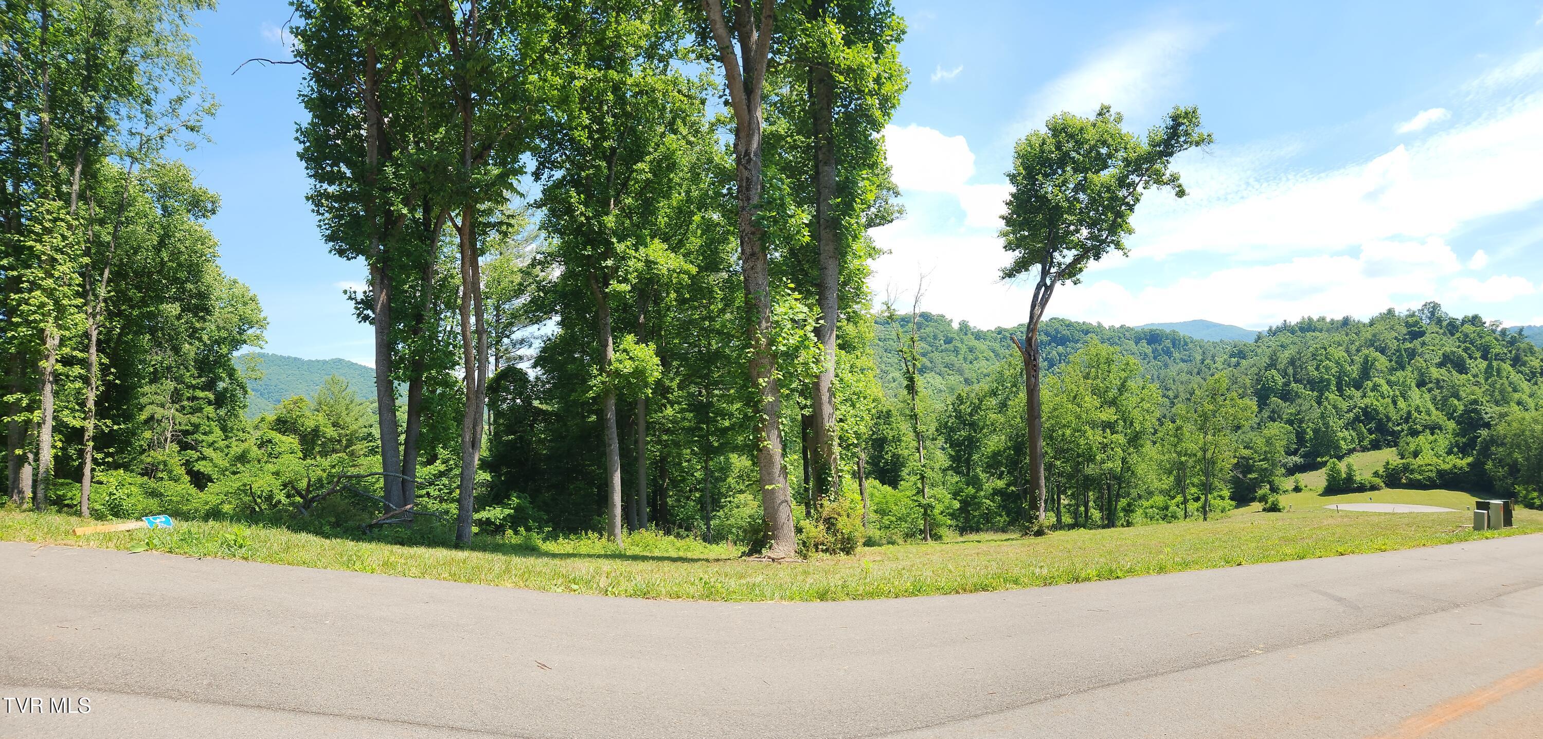 Lot 40 Cowan Town Road, Unit 40 Butler, TN 37640 - Photo 87 of 117 Pano across road
