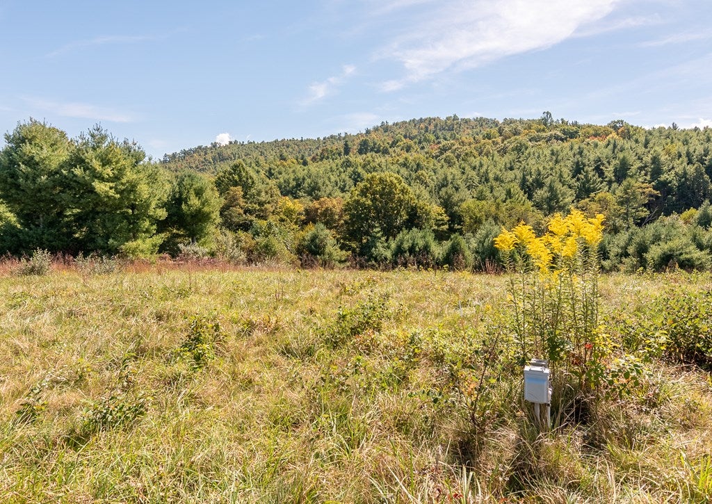 12.63-ac Shelor Road Southwest Meadows Of Dan, VA 24120 - Photo 9 of 16 Gallery Image 9