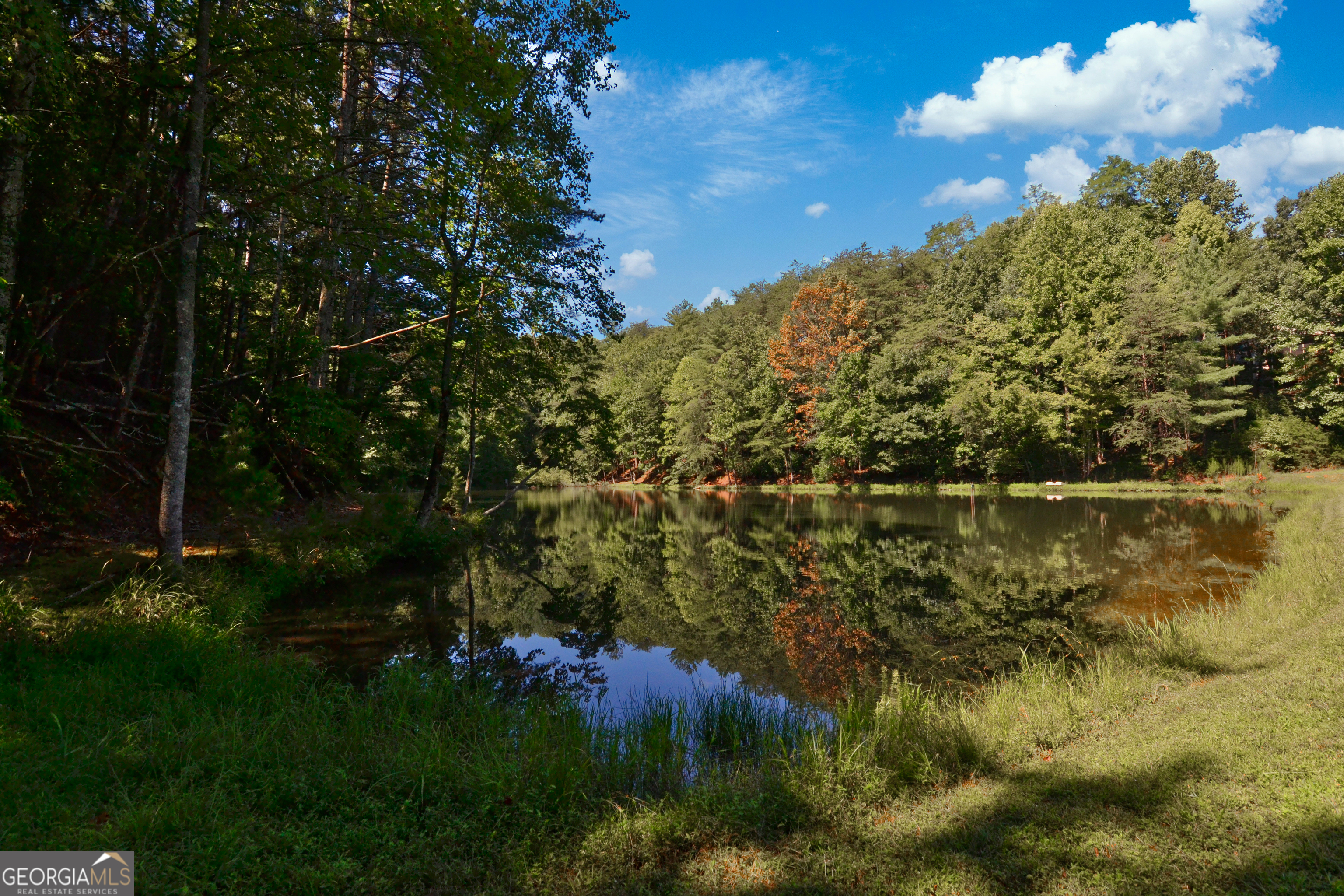241 Walnut Mountain Road Ellijay, GA 30536 - Photo 49 of 56