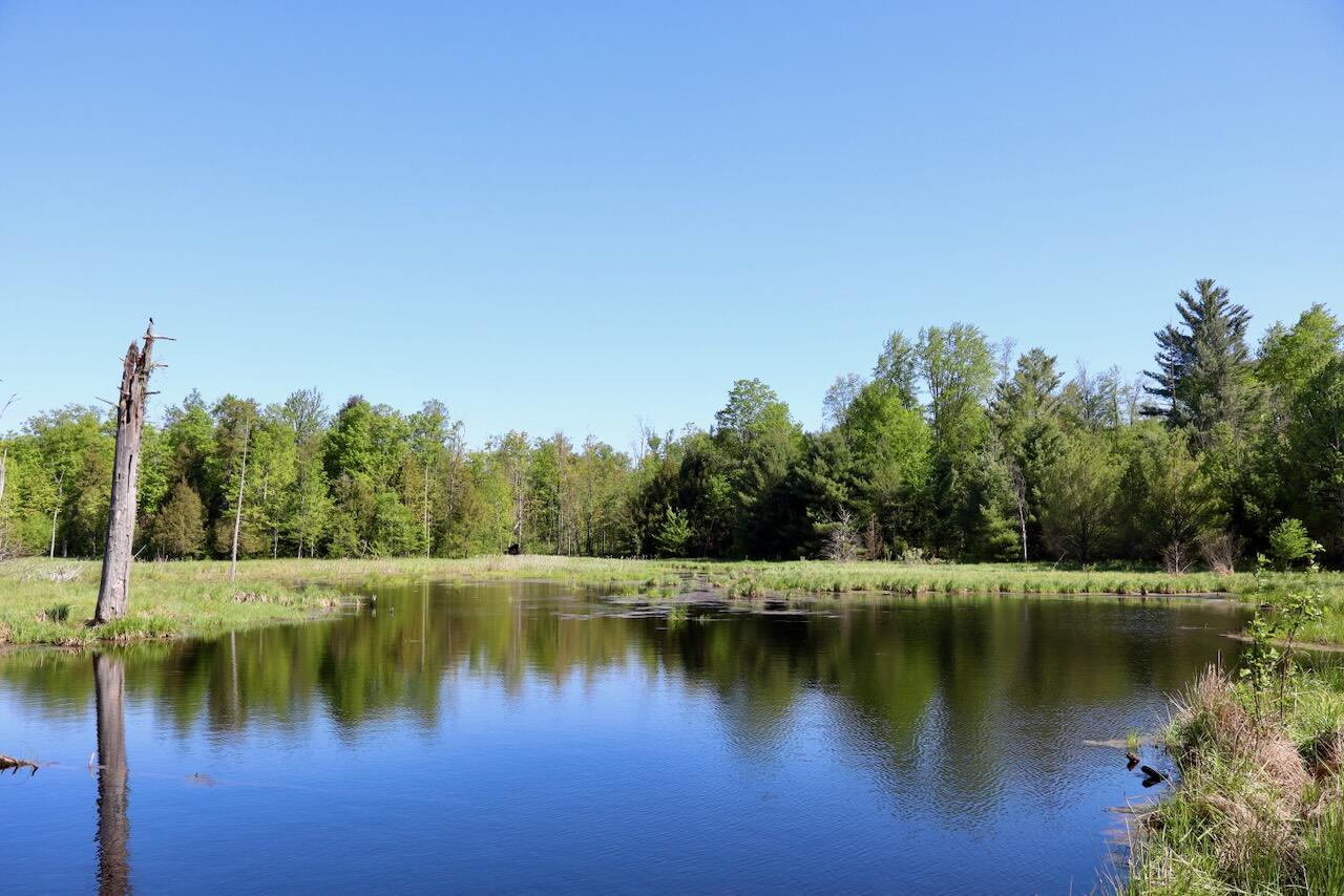 11547 1 Mile Road Leroy, MI 49655 - Photo 67 of 73 58_