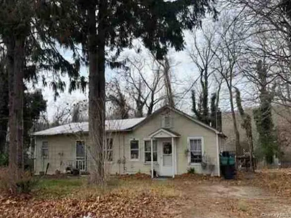 a view of a yard with a house and a large tree