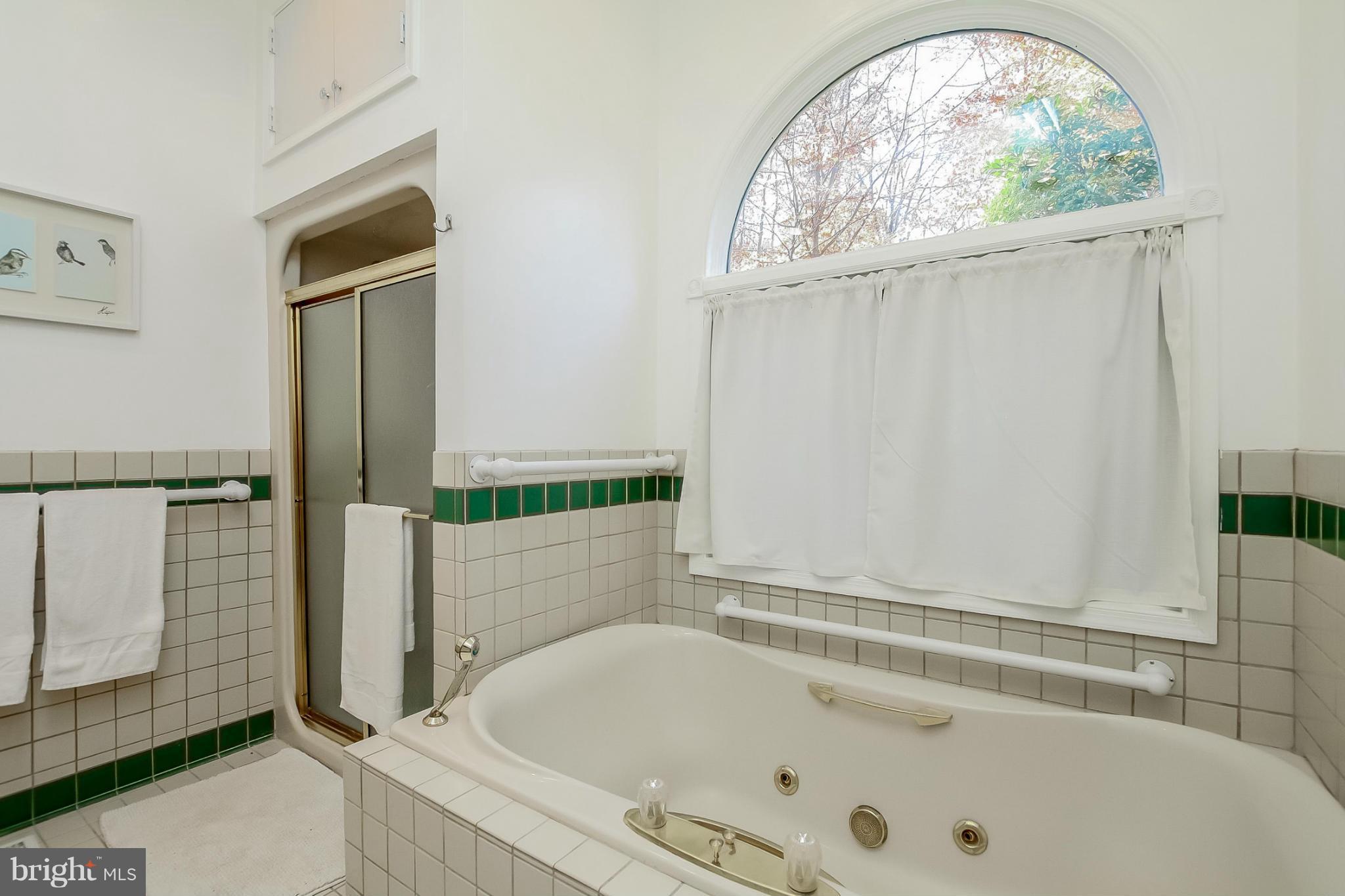 4201 Green Glade Road Phoenix, MD 21131 - Photo 17 of 30 Bath (Master)