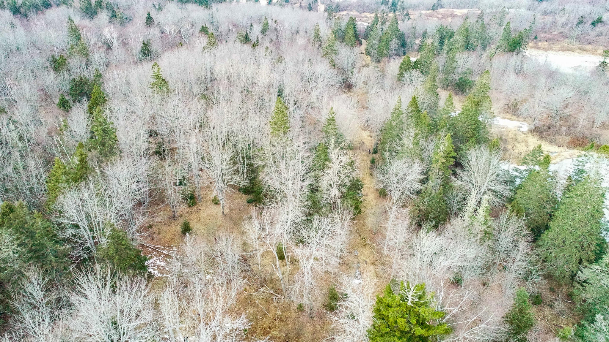 M4-l117 Southwest Crk Road Jonesport, ME 04649 - Photo 3 of 18 DJI_0041
