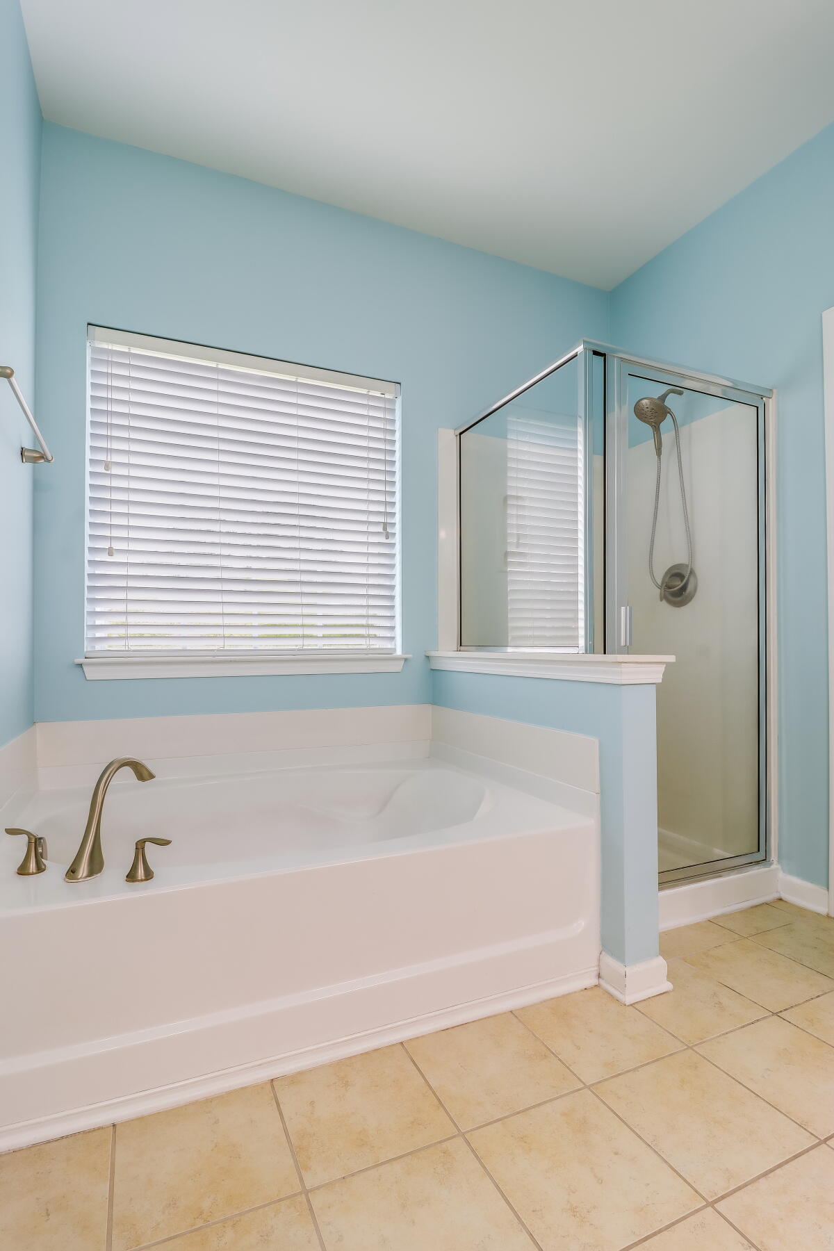 156 Red Leaf Boulevard Moncks Corner, SC 29461 - Photo 19 of 34 IMG_5950