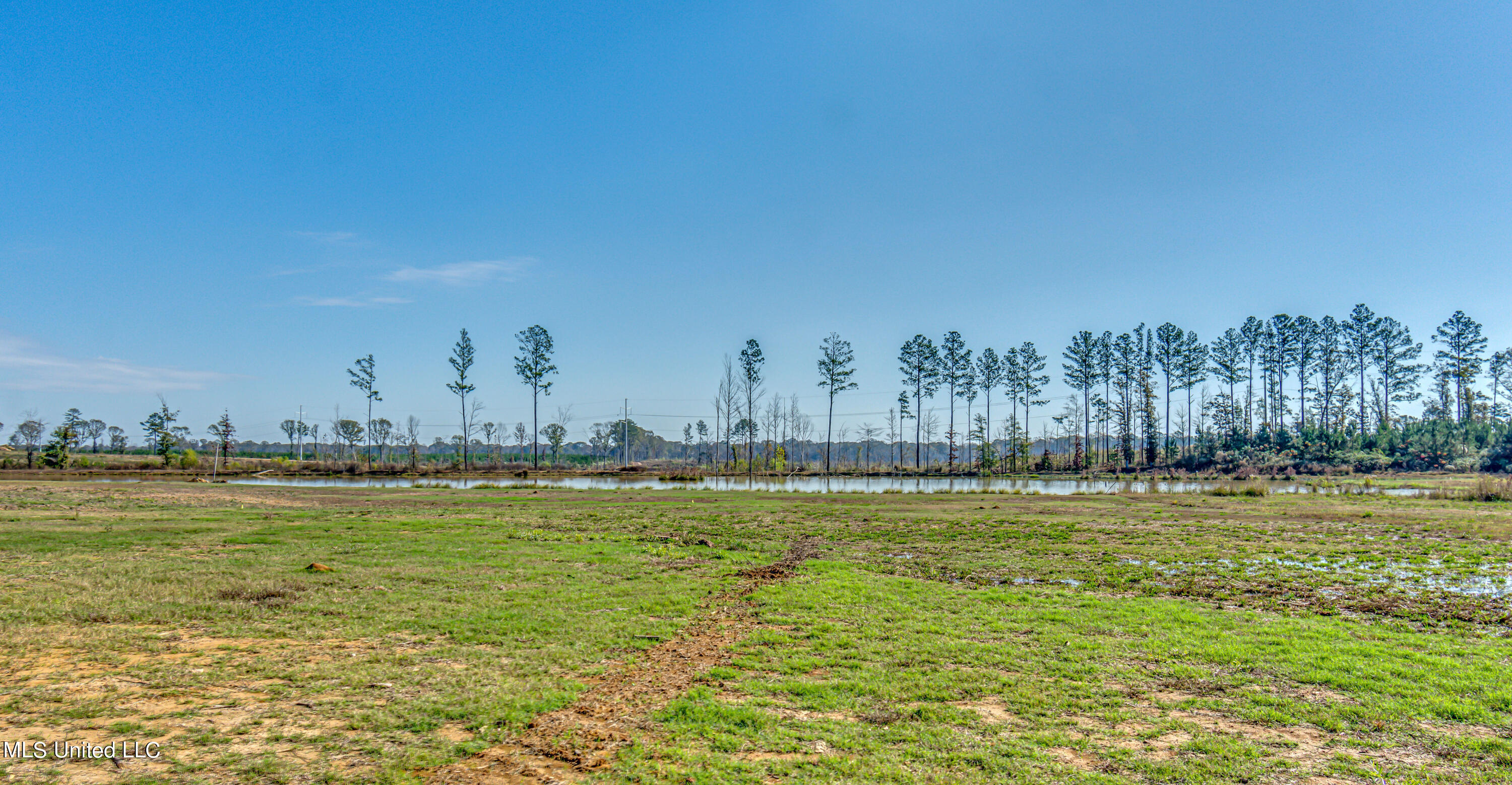 348 Stump Ridge Road Brandon, MS 39047 - Photo 8 of 66 348 Stump Ridge Rd--5