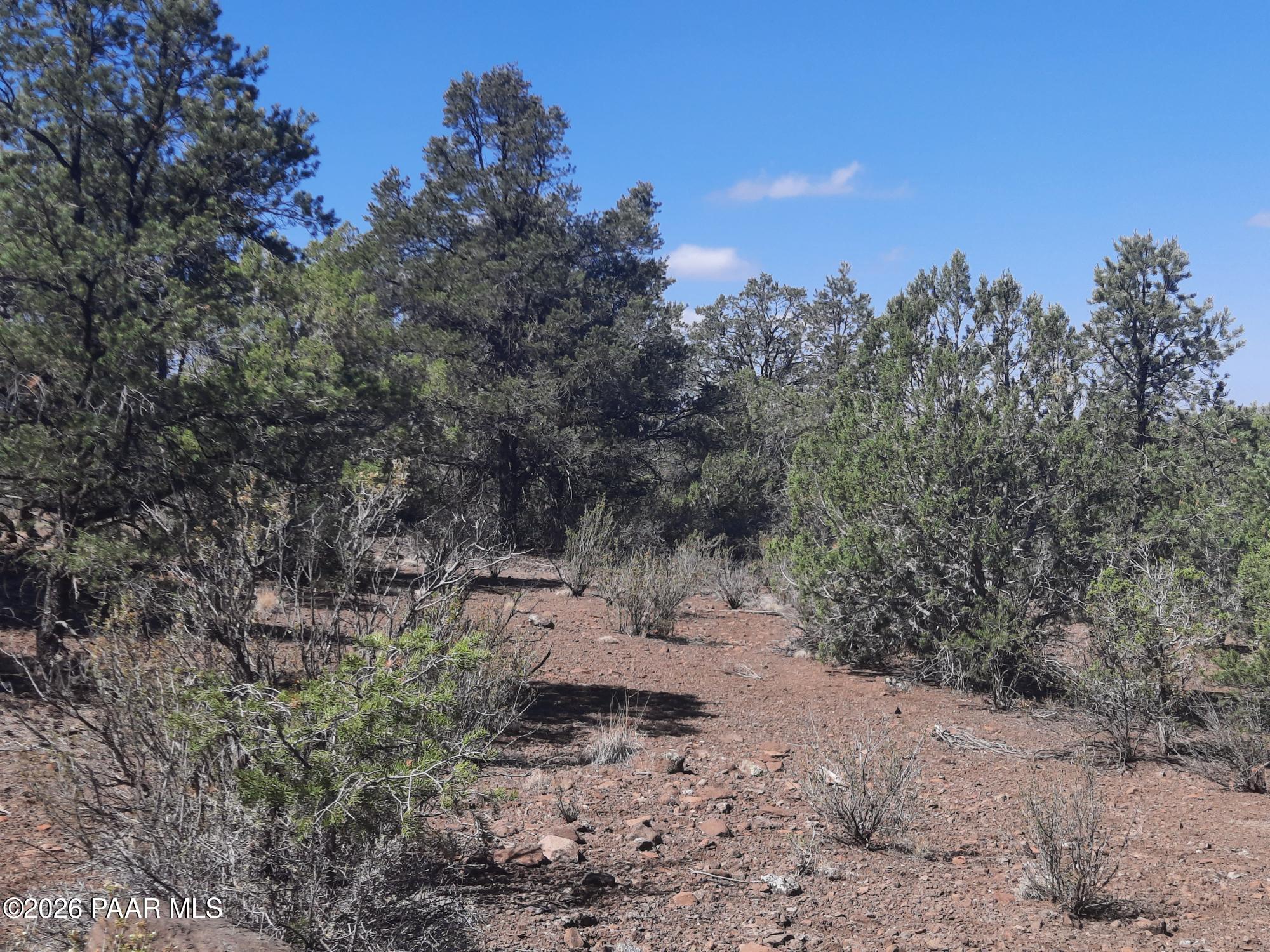 Lot 860 Fort Rock Road Kingman, AZ 86401 - Photo 15 of 20 a view of a dry yard with trees in the background