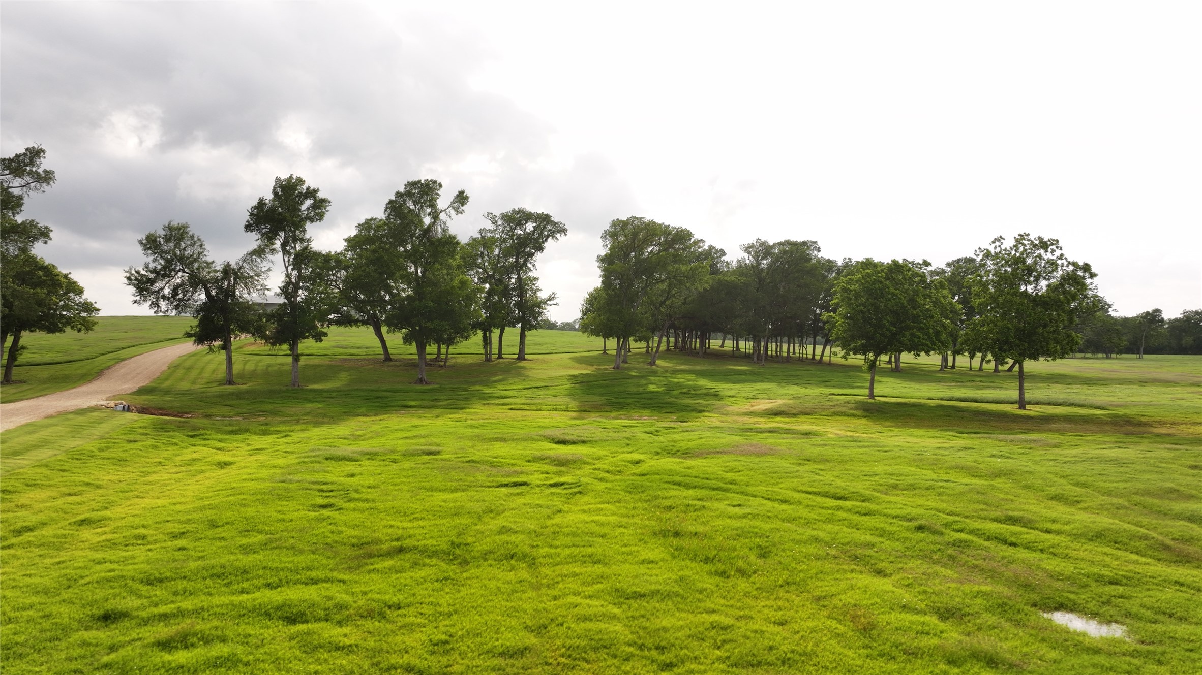 3283-2 Fm 2562 Road Anderson, TX 77830 - Photo 3 of 36