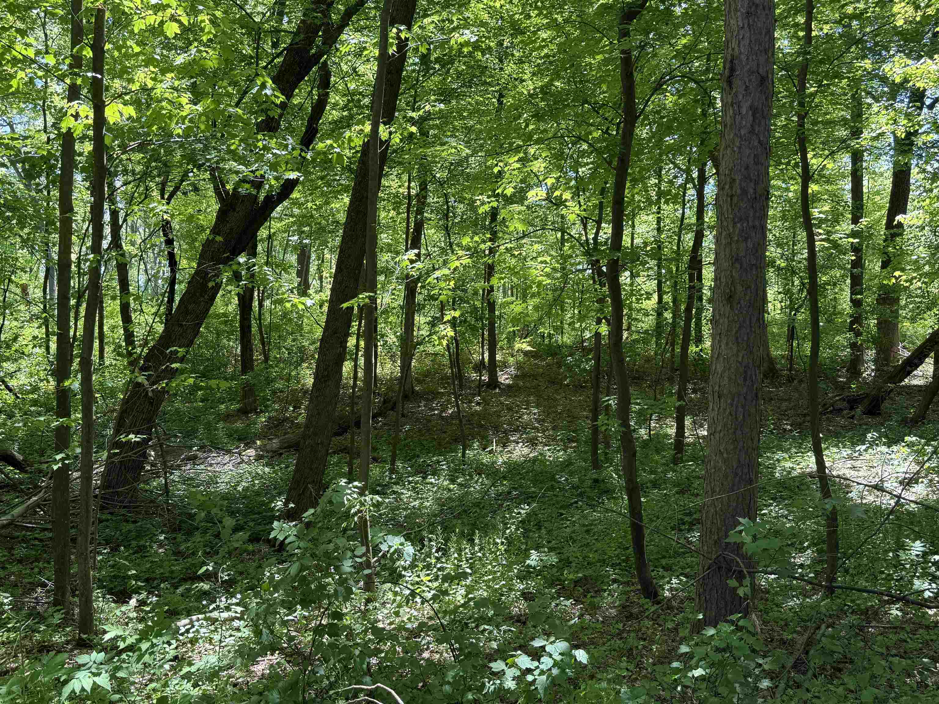 Lot 16 Arrowhead Road Amherst Junction, WI 54407 - Photo 14 of 17