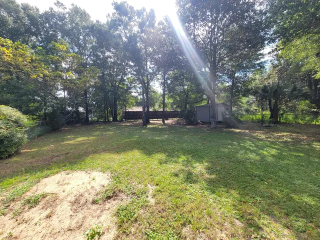a view of a backyard with large trees