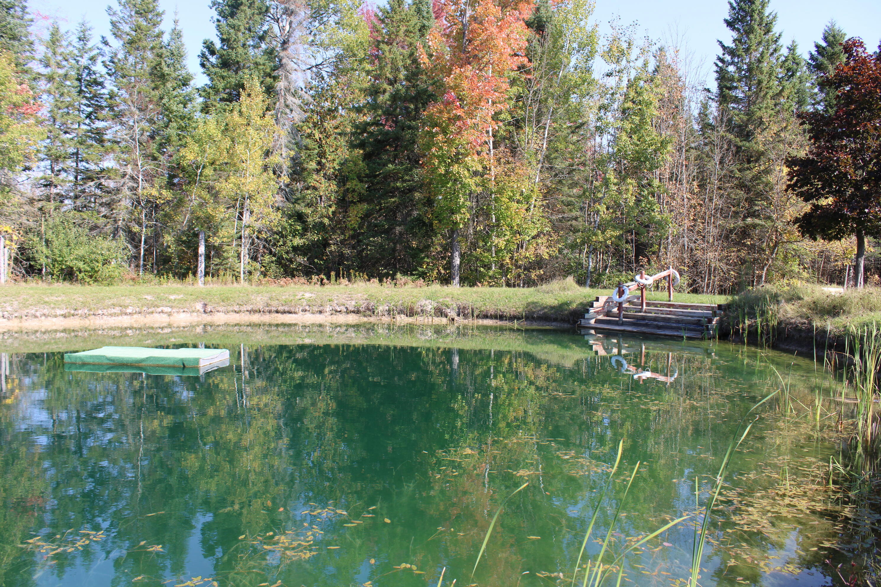 9850 Elevere Road Lachine, MI 49753 - Photo 55 of 71 IMG_5110