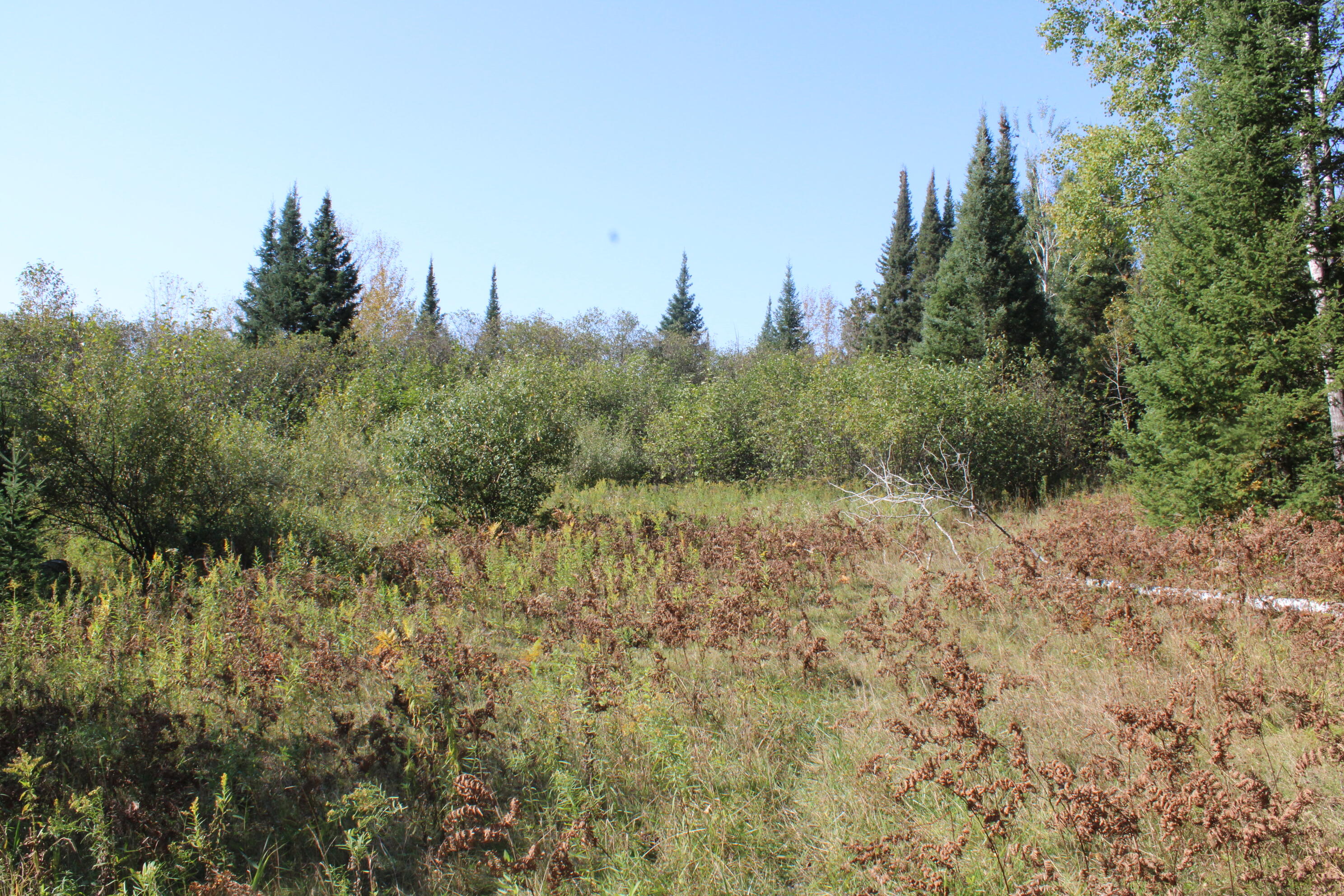 9850 Elevere Road Lachine, MI 49753 - Photo 67 of 71 IMG_5124