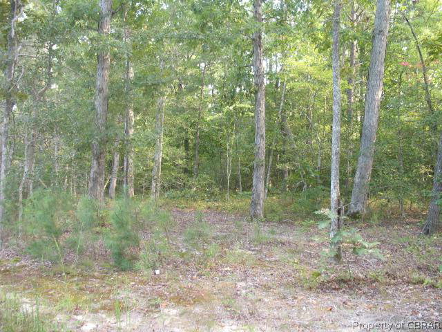 5 Rivers Edge Terrace Gloucester, VA 23061 - Photo 3 of 5