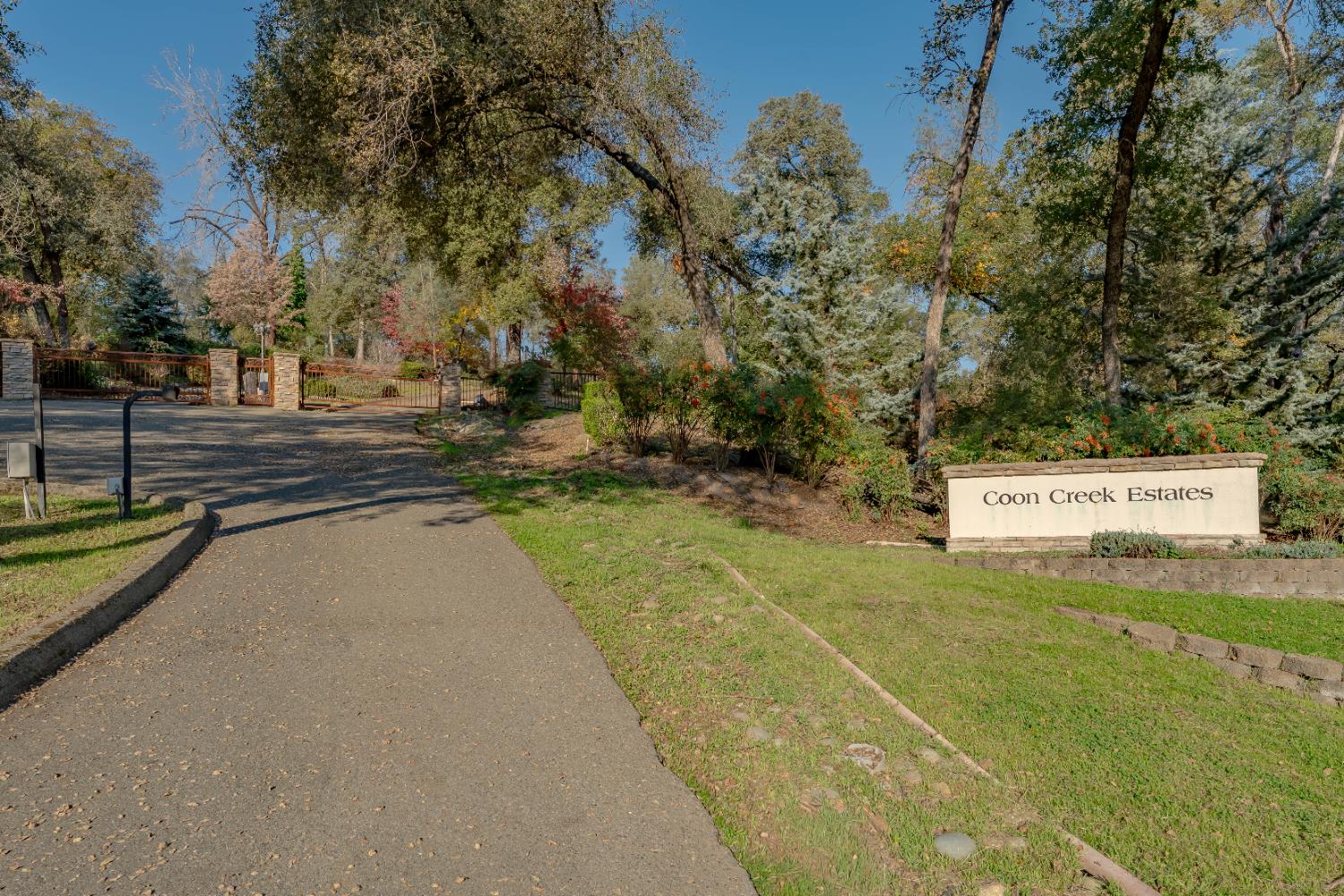 5585 Garden Bar Road Lincoln, CA 95648 - Photo 20 of 26 a view of a swimming pool and trees