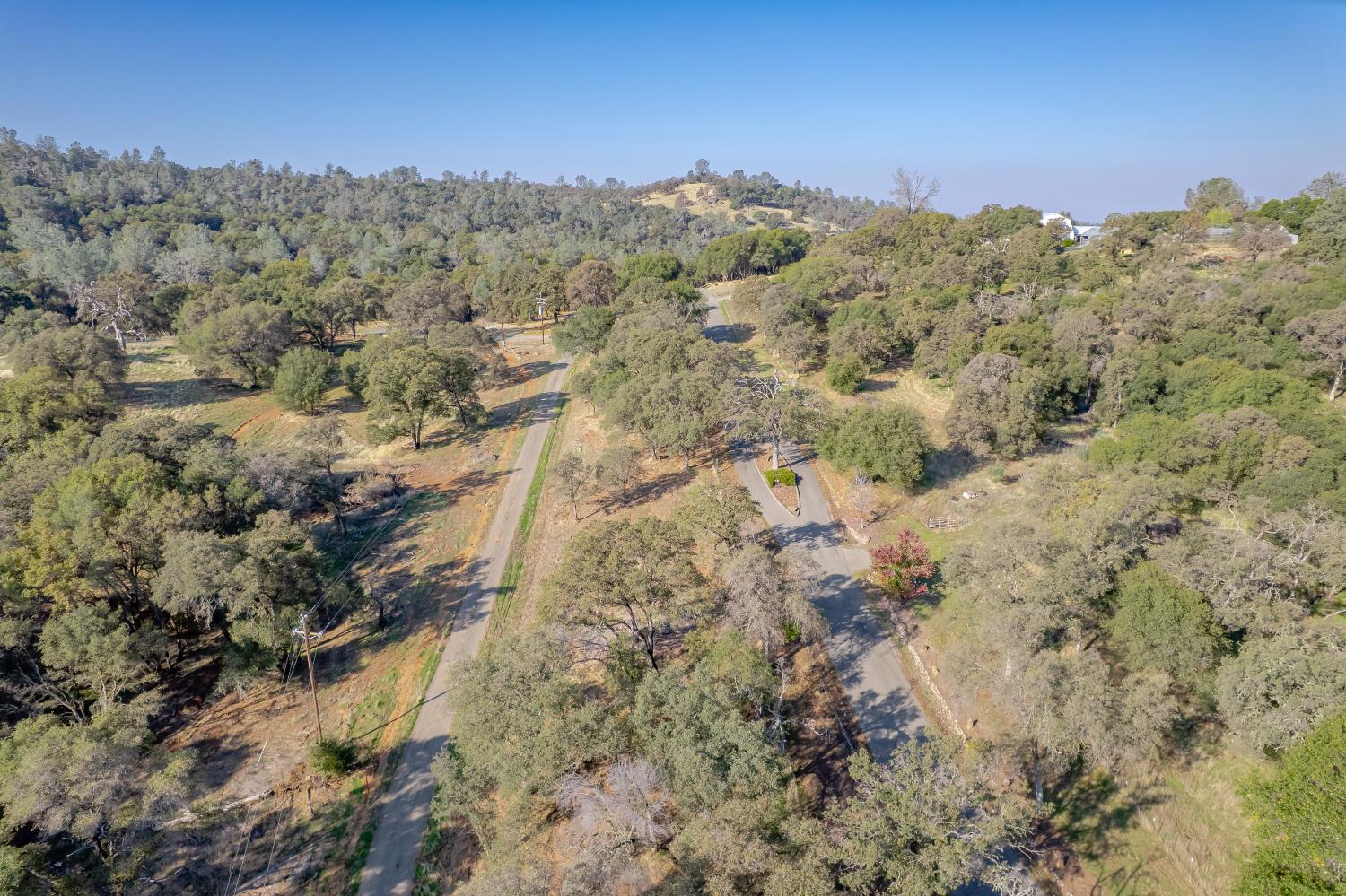5585 Garden Bar Road Lincoln, CA 95648 - Photo 8 of 26 a view of a forest with mountains in the background
