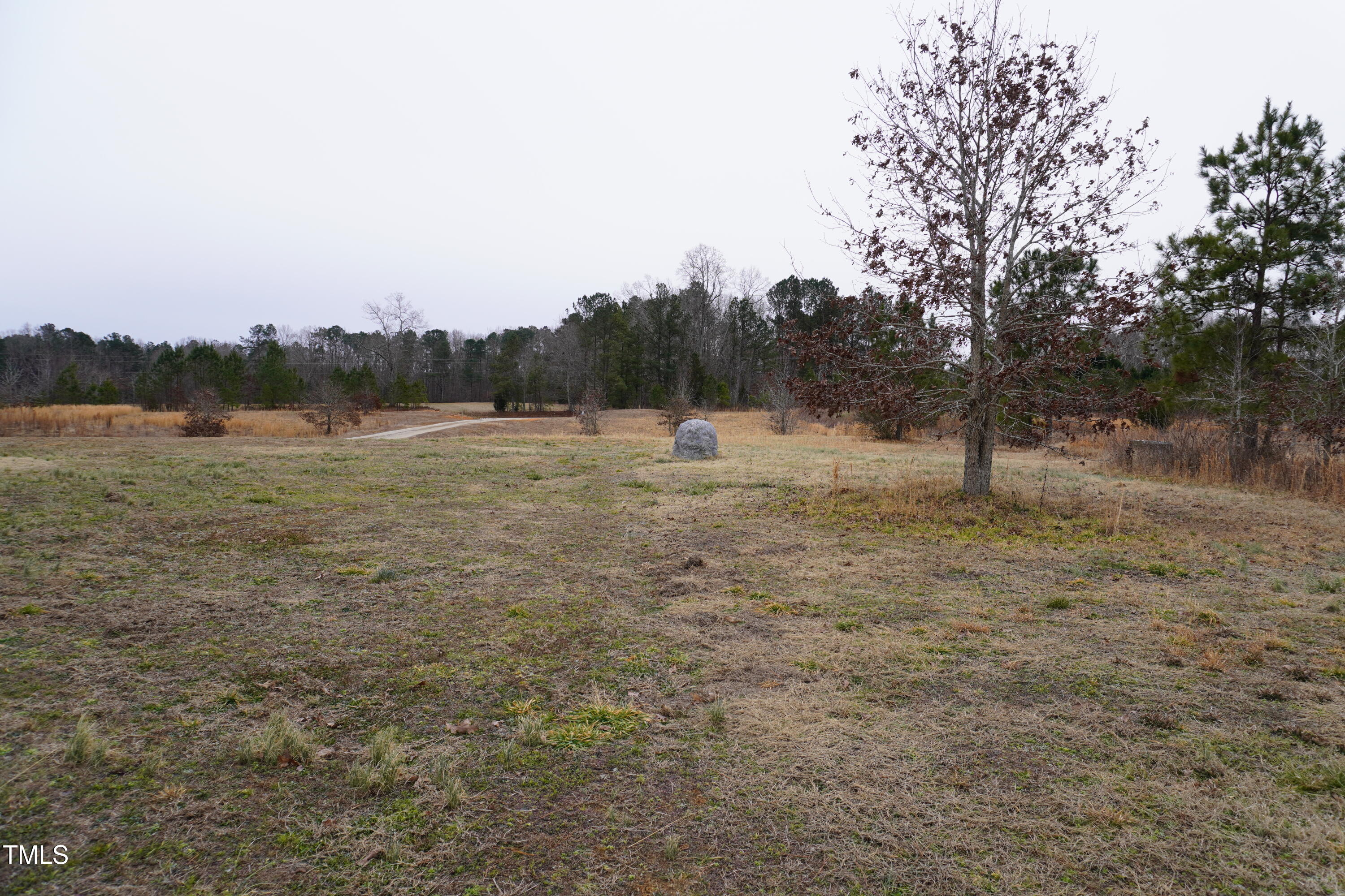 1850 Gillburg Road Henderson, NC 27537 - Photo 10 of 31 a view of dirt field with trees in background