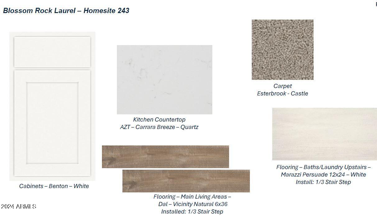 10133 Bickwell Trail Apache Junction, AZ 85120 - Photo 4 of 30 Laurel 243