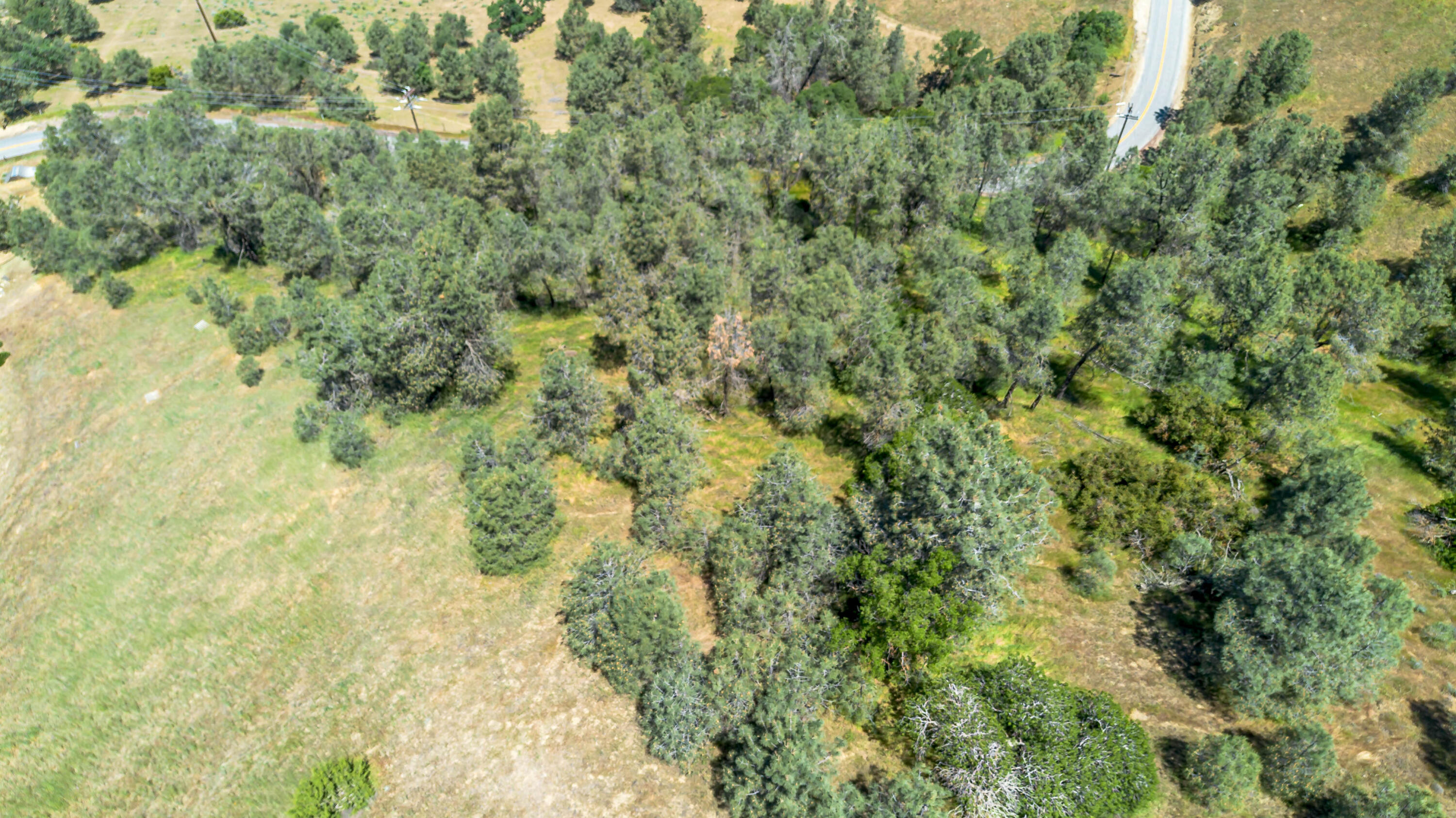 0 Woodford Tehachapi Road Tehachapi, CA 93561 - Photo 5 of 11 a view of a big yard with green space