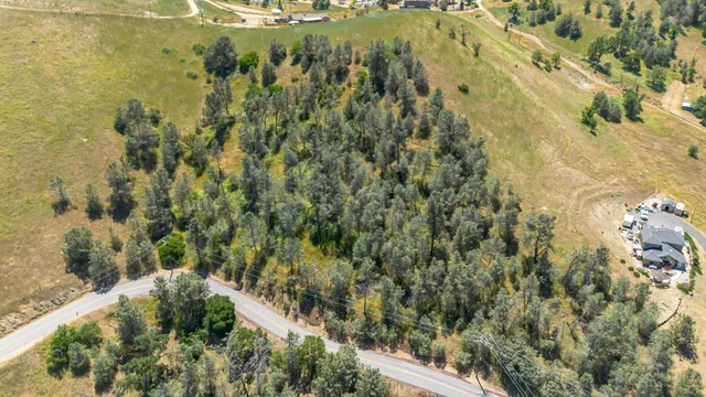 a view of a yard with a tree