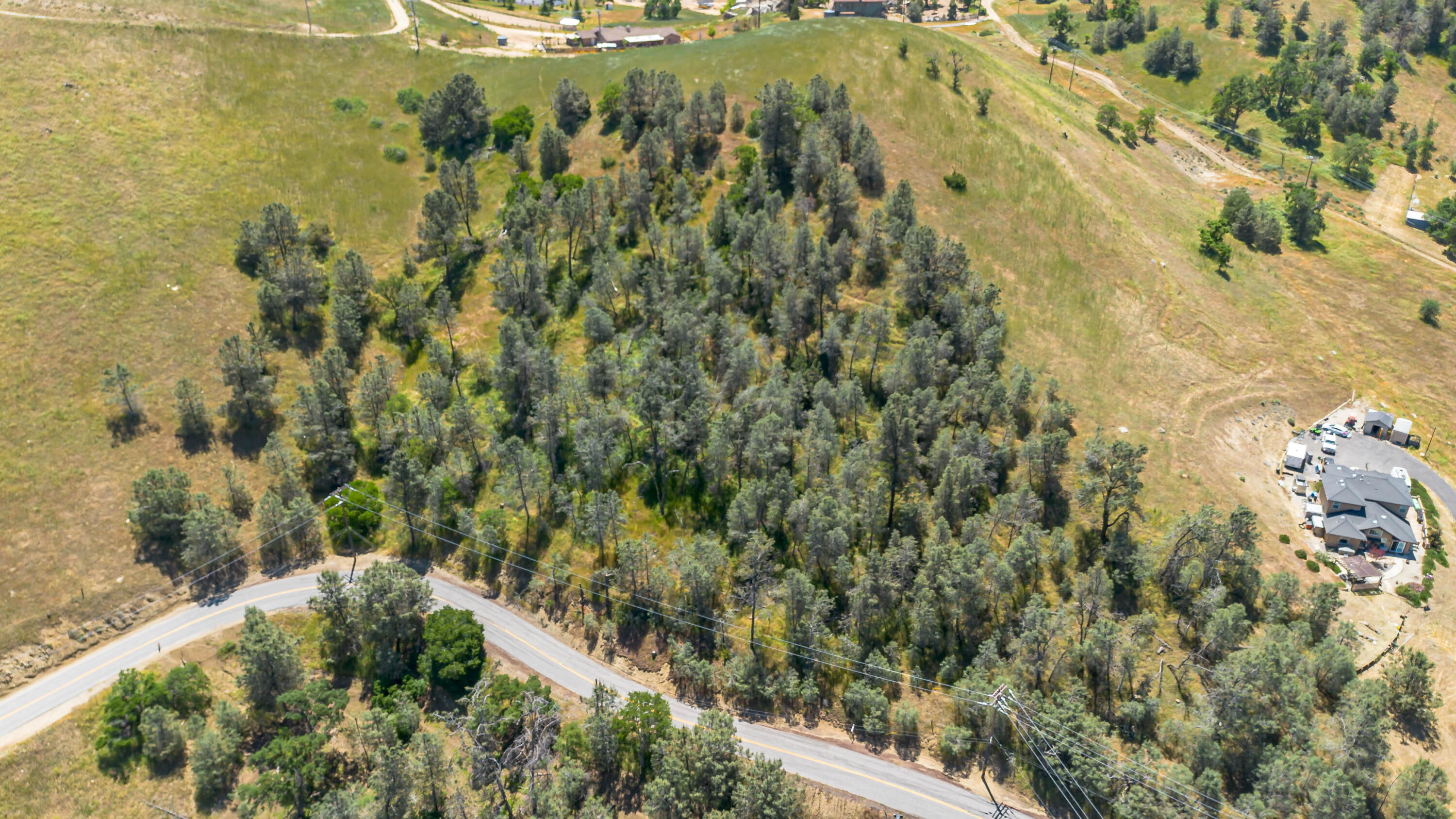 0 Woodford Tehachapi Road Tehachapi, CA 93561 - Photo 6 of 11 a view of a forest with a small yard