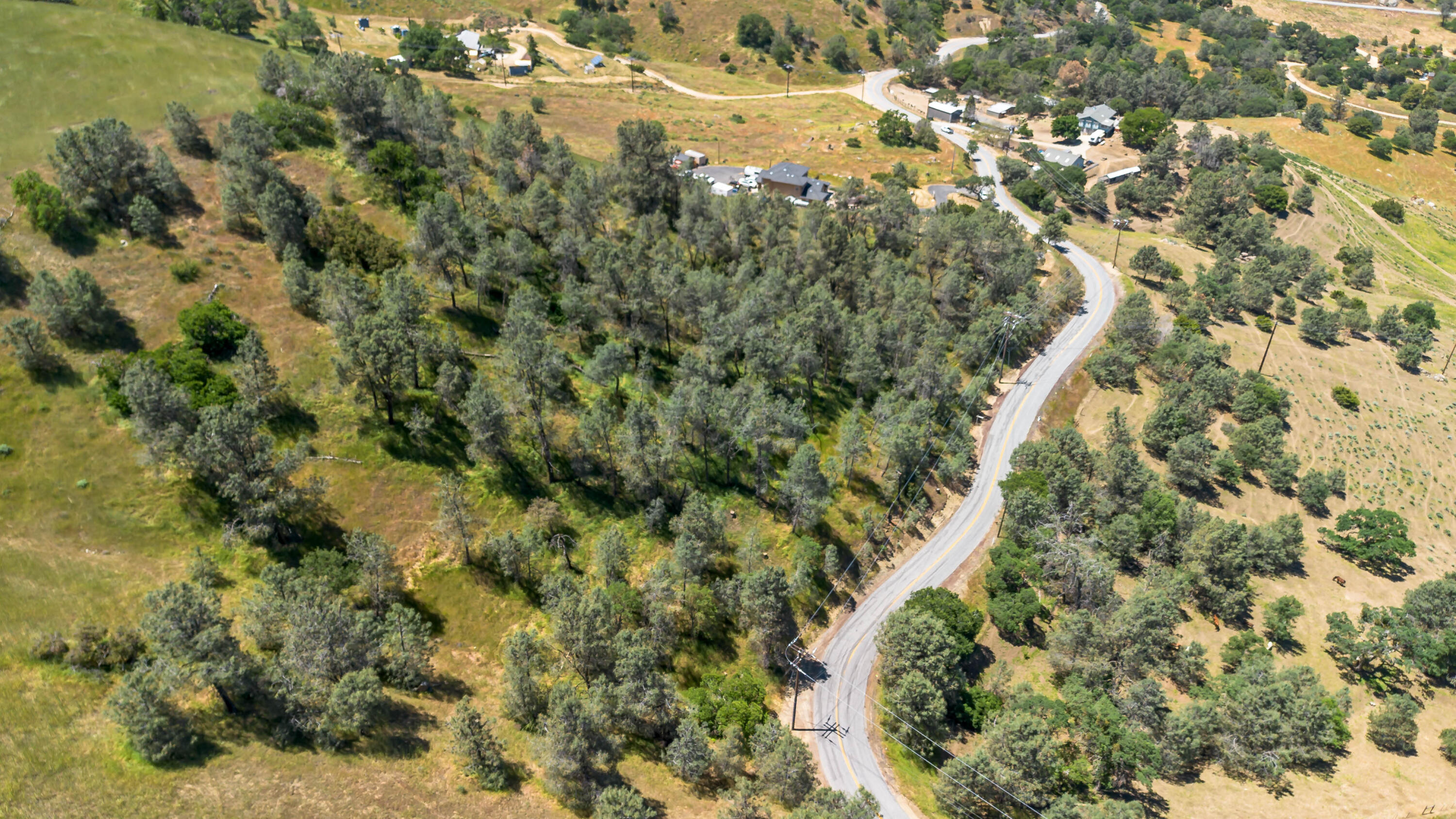 0 Woodford Tehachapi Road Tehachapi, CA 93561 - Photo 7 of 11 a view of a yard with a tree