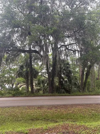 a view of a yard with a tree
