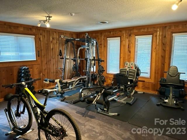 2955 Alpine Lane Morganton, NC 28655 - Photo 45 of 48 a view of a room with gym equipment