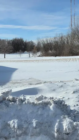 $39,900 | 1721 Lower Trentwood Circle Northeast, Willmar, MN 56201