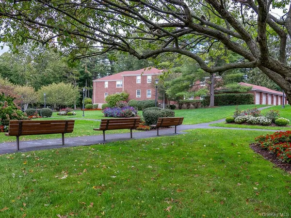 a garden view with wooden benches and trees