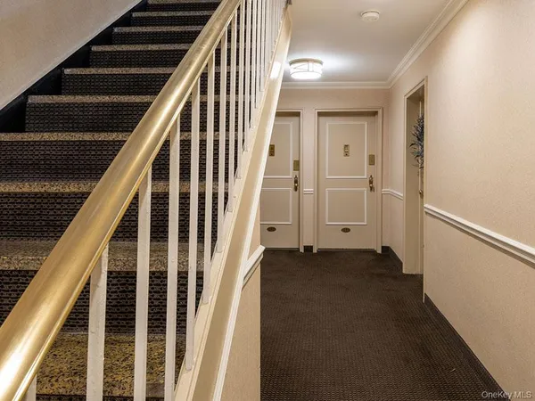 a view of staircase with lots of frames on wall and a potted plant