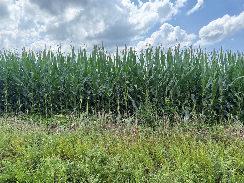 0 South Fairlawn Road Wakarusa, KS 66546 - Photo 47 of 72