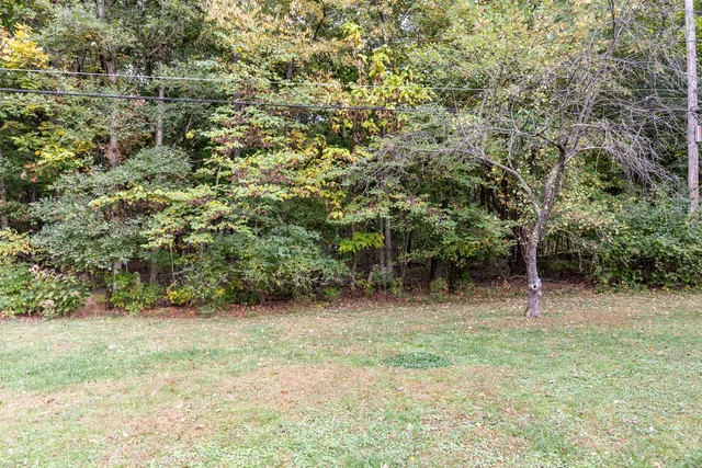 a backyard of a house with lots of plants and large tree