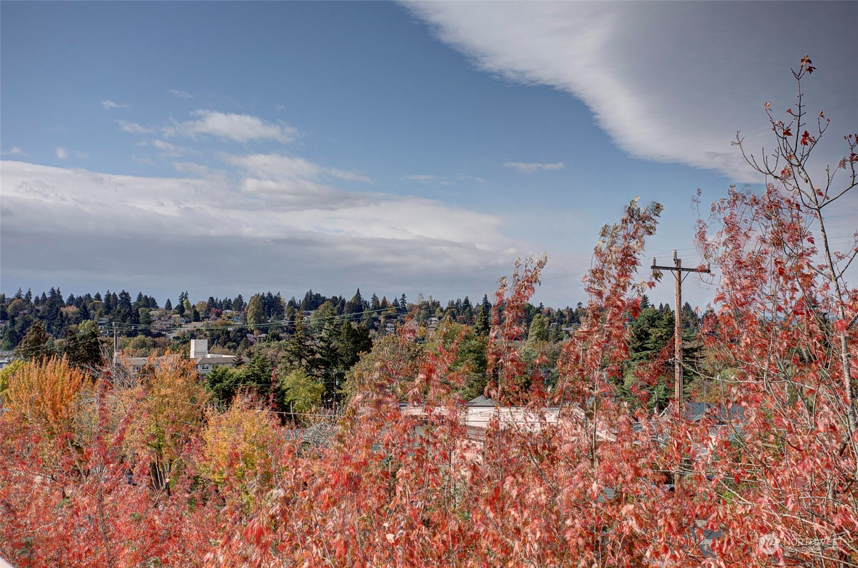 10170 Holman Road Northwest, Unit G Seattle, WA 98133 - Photo 20 of 23 a view of a city