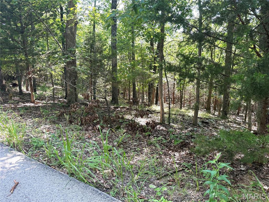 4567 Thunder Ridge Road Wildwood, MO 63025 - Photo 1 of 10