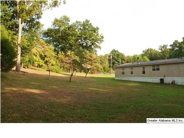 145 Lena Lane Anniston, AL 36201 - Photo 7 of 22