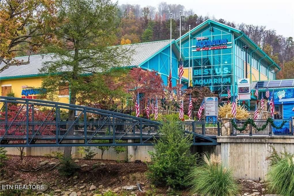 10795152 Shell Mountain Road Sevierville, TN 37876 - Photo 29 of 30 Gallery Image 29