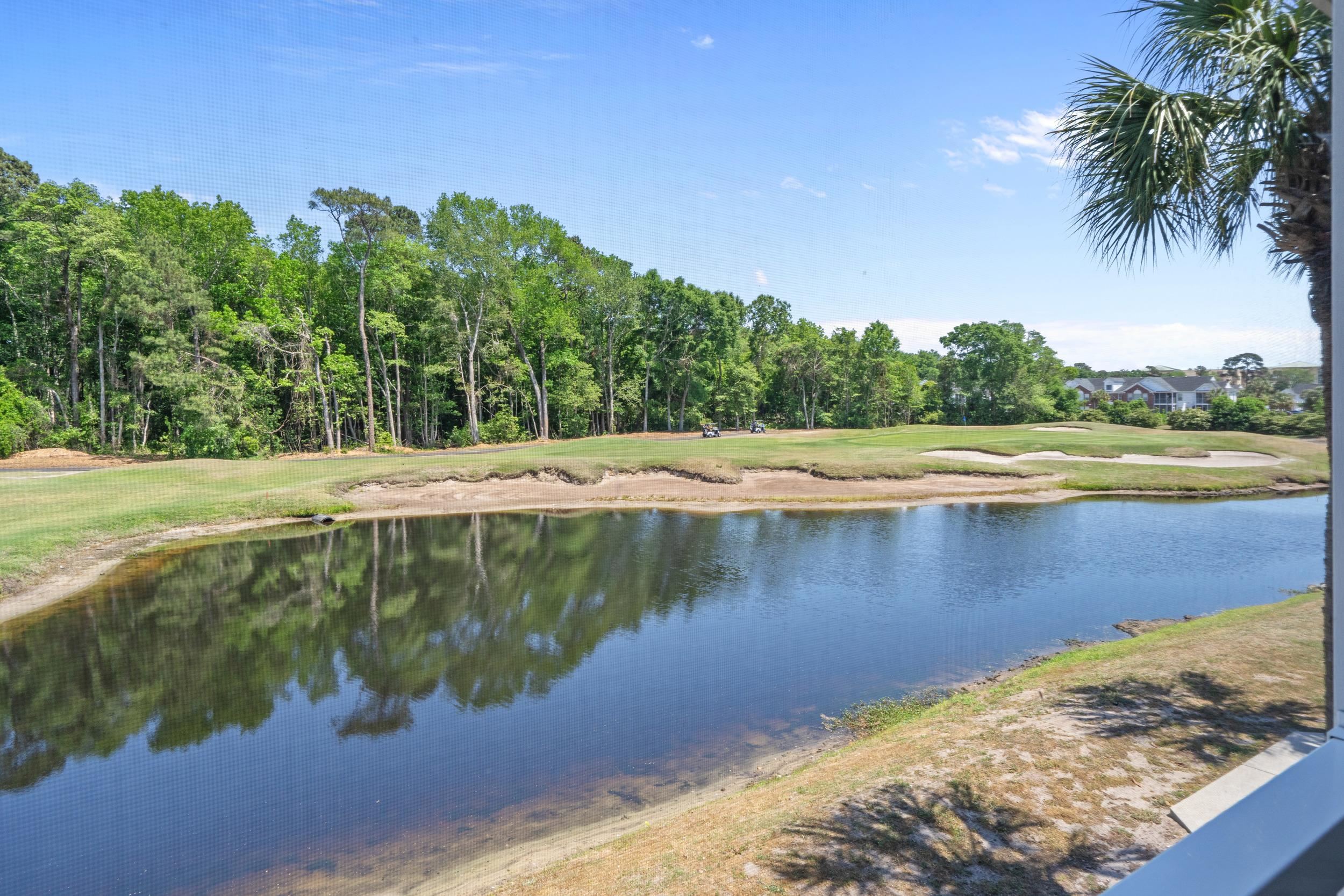 4436 Lady Banks Lane, Unit C2 Murrells Inlet, SC 29576 - Photo 29 of 50