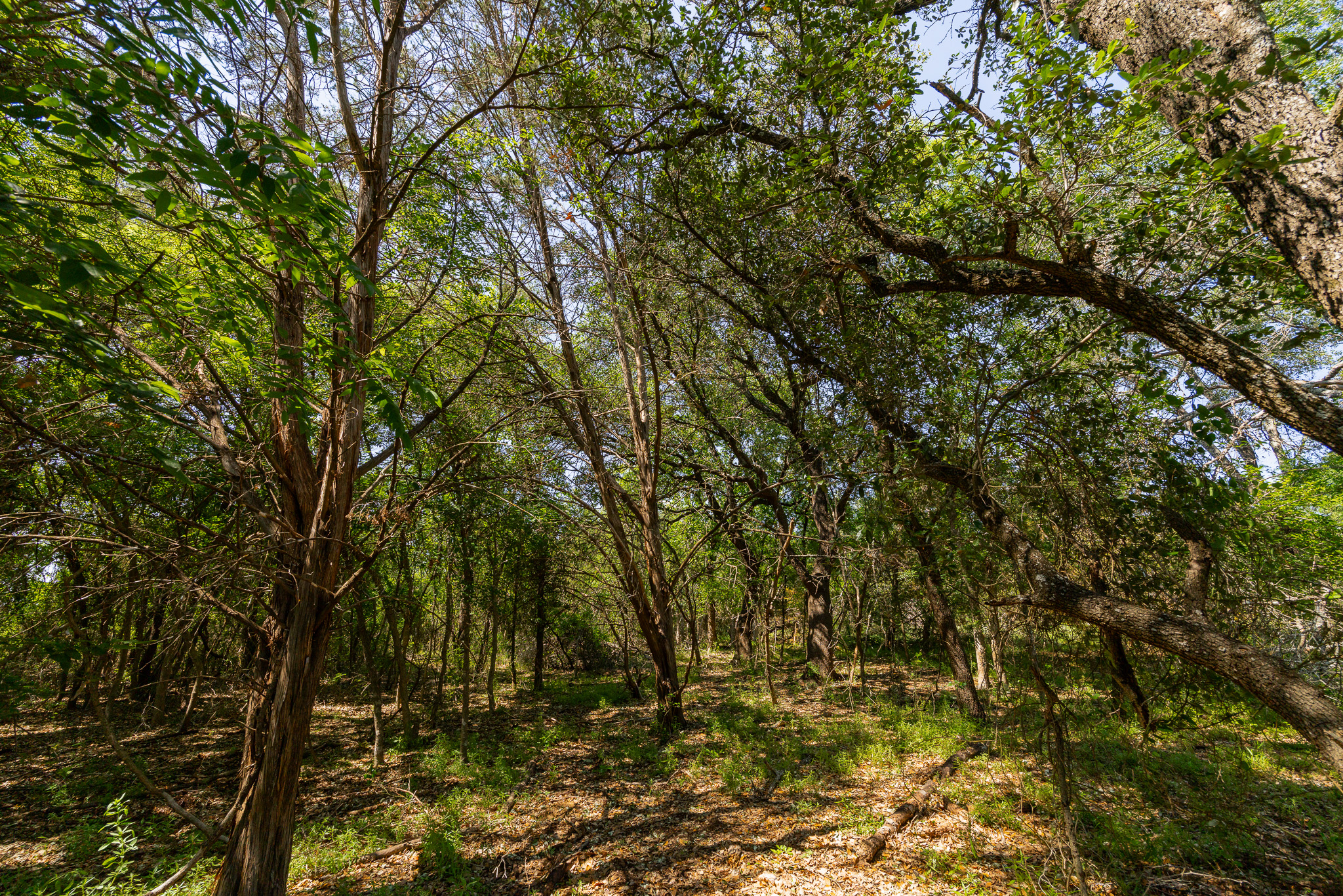 180 Rd Purmela Tx 76566 Road Purmela, TX 76566 - Photo 29 of 32 Gallery Image 29