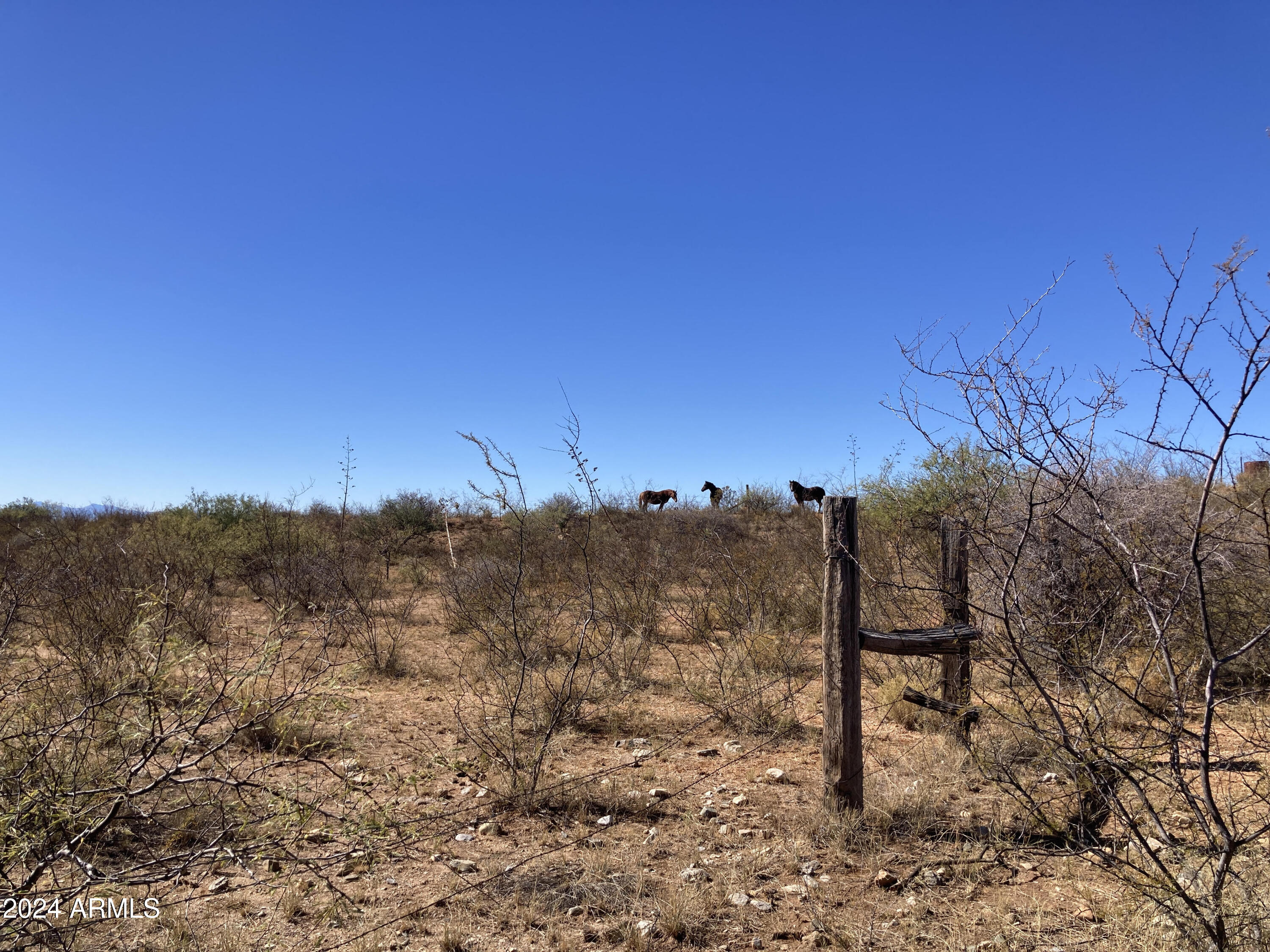 Lot 35 Middlemarch Road, Unit 35 Elfrida, AZ 85610 - Photo 1 of 11 Horses on tthe ridge